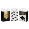 Hallmark 13" Assorted Grad Designs 3-Pack Large Gift Bags With Tissue Paper 1 Hallmark 13" Assorted Grad Designs 3-Pack Large Gift Bags With Tissue Paper -Hallmark Decoration Store Assorted Grad Designs 3Pack Large Gift Bags With Tissue Paper 5GBC1015 01