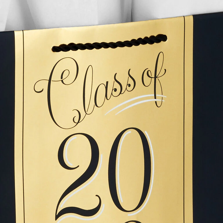 Hallmark 13" Assorted Grad Designs 3-Pack Large Gift Bags With Tissue Paper 8 Hallmark 13" Assorted Grad Designs 3-Pack Large Gift Bags With Tissue Paper - Image 6