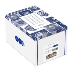 Hallmark National Lampoon's Christmas Vacation™ The RV Glass Ornament -Hallmark Decoration Store Christmas Vacation RV Keepsake Ornament 7499QEP3017 05