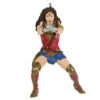 Hallmark DC™ Wonder Woman™ Ornament -Hallmark Decoration Store DC Comics Wonder Woman Keepsake Ornament 1999QXI6119 01