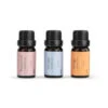Demdaco Well-Being Essential Oil Trio -Hallmark Decoration Store Demdaco WellBeing Essential Oil Trio 1004540045 01