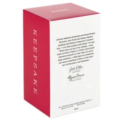 Hallmark Our Babymoon 2023 Wood Ornament -Hallmark Decoration Store Our Babymoon Wood Airplane Keepsake Ornament 1999QHX3099 05