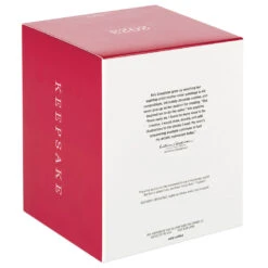 Hallmark Playful Penguins On Ferris Wheel Musical Ornament With Light And Motion -Hallmark Decoration Store Penguins on Ferris Wheel Keepsake Ornament 4499QGO2679 05