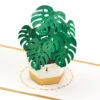 Hallmark Plant In Pot 3D Pop-Up Thinking Of You Card -Hallmark Decoration Store Plant in Pot 3D PopUp Thinking of You Card 1299LAD2900 01
