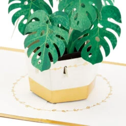 Hallmark Plant In Pot 3D Pop-Up Thinking Of You Card -Hallmark Decoration Store Plant in Pot 3D PopUp Thinking of You Card 1299LAD2900 03