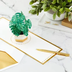 Hallmark Plant In Pot 3D Pop-Up Thinking Of You Card -Hallmark Decoration Store Plant in Pot 3D PopUp Thinking of You Card 1299LAD2900 07