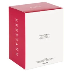 Hallmark Star Wars: Return Of The Jedi™ A Curious Encounter On Endor™ Ornament -Hallmark Decoration Store Return of the Jedi Wicket Ewok Keepsake Ornament 2699QXI7097 05