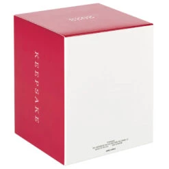 Hallmark Star Wars: The Book Of Boba Fett™ Riding Into The Battle Ornament -Hallmark Decoration Store Star Wars Boba Fett on Rancor Keepsake Ornament 2499QXI7087 05